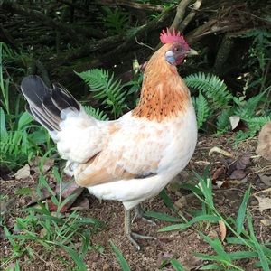 Meet your Posher, Patricia